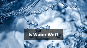 Is Water Wet