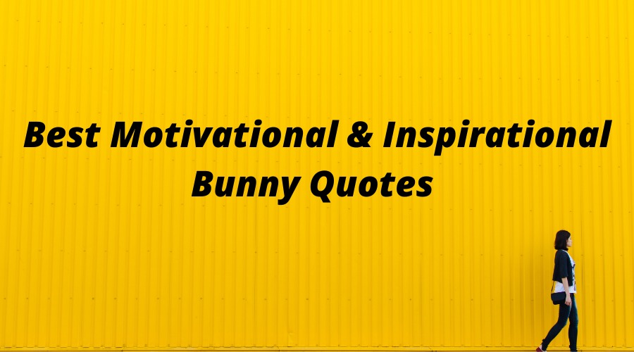 Bunny Quotes