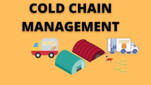 Cold Chain Management