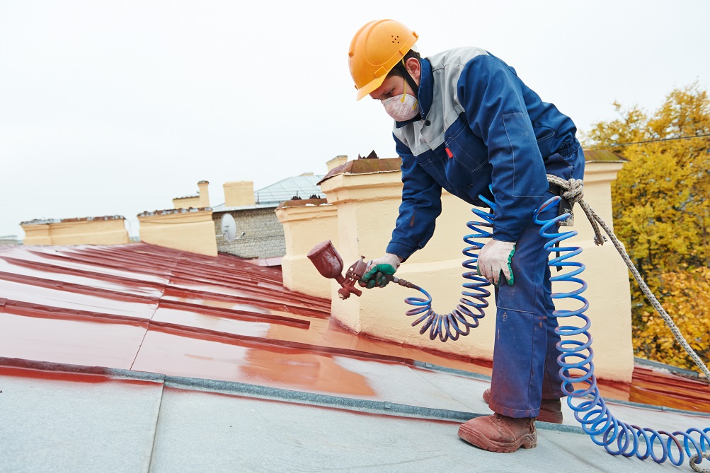 Painting your roof