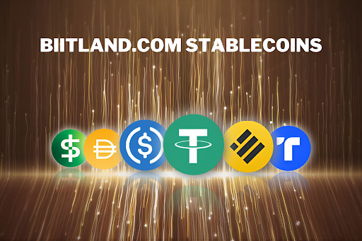 biitland.com stablecoins